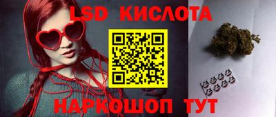 mdpv Заводоуковск