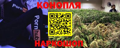 mdpv Заводоуковск