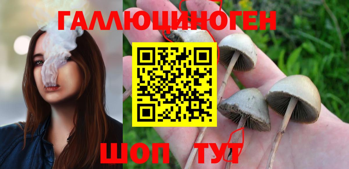 Псилоцибиновые грибы прущие грибы  Вход с VPN  что такое наркотик  Мурманск 